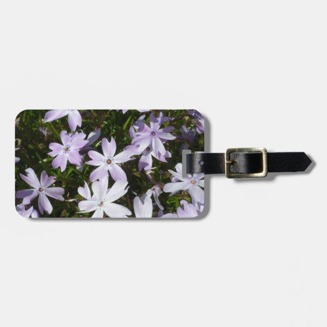 Étiquette À Bagage Fleur de Phlox (Devant horizontal)