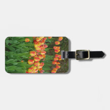 Fleur de tulipe rouge et jaune