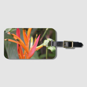 Étiquette À Bagage Fleur d'oiseau de paradis orange hawaïen carré Wal