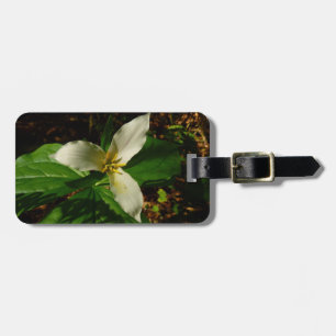 Étiquette À Bagage Fleur sauvage de printemps blanc Trillium Flower