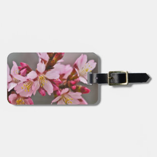 Étiquette À Bagage Fleurs de cerisier japonaises roses sur un ciel gr