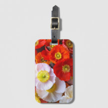 Fleurs de pavot lumineuses