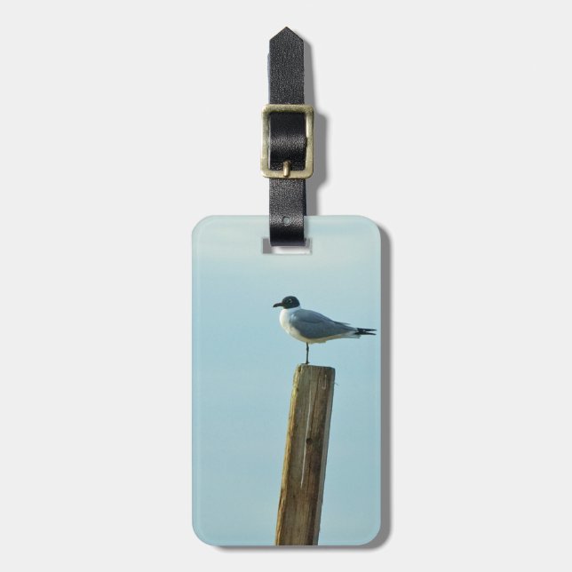 Étiquette À Bagage Florida Laughing Gull Easy ID Personnel (Devant Vertical)