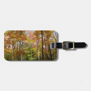 Étiquette À Bagage Forêt d'automne II Photographie de paysage automna