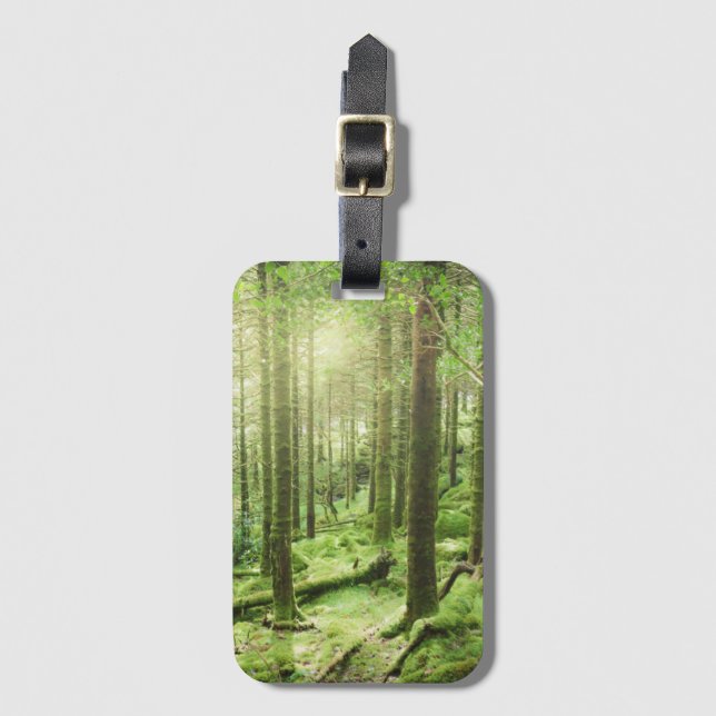 Étiquette À Bagage Forêt en parc national | Kerry, Irlande de (Devant Vertical)