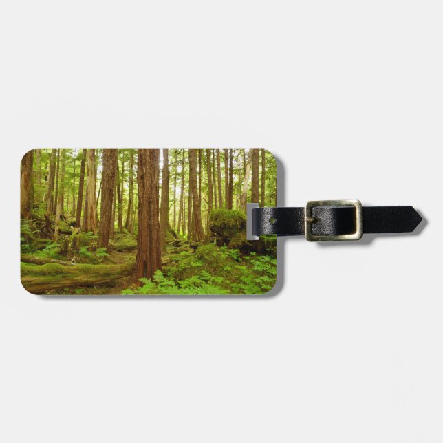 Étiquette À Bagage Forêt pluviale tempérée d'Alaska (Devant horizontal)