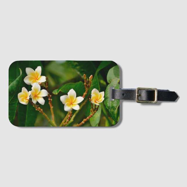 Étiquette À Bagage Frangipani jaune (Devant Horizontal)