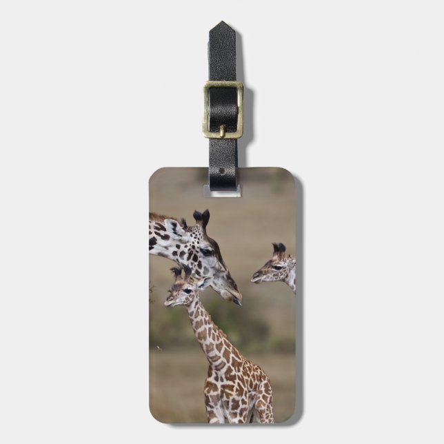 Étiquette À Bagage Girafe maasaï (Giraffe Tippelskirchi) (Devant Vertical)