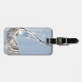Étiquette À Bagage Glacé congelé par neige animale d'hiver d'oiseau