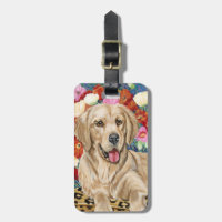 Golden Boy Retriever