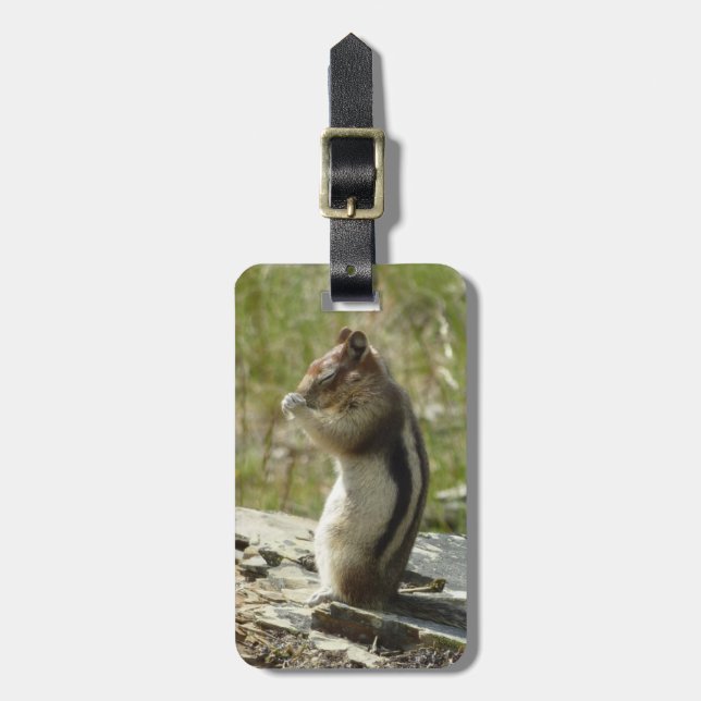 Étiquette À Bagage Golden-Mantled Ground Squirrel at Glacier Park (Devant Vertical)