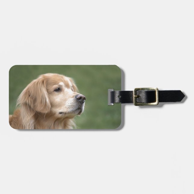 Étiquette À Bagage Golden retriever en plan rapproché (Devant horizontal)