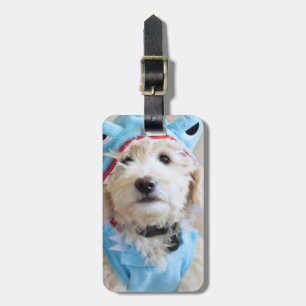 Étiquette À Bagage Goldendoodle En Costume De Requin