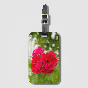 Étiquette À Bagage Grandes roses rouges dans le jardin