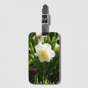 Étiquette À Bagage Grands jonquilles blancs par un jour de printemps
