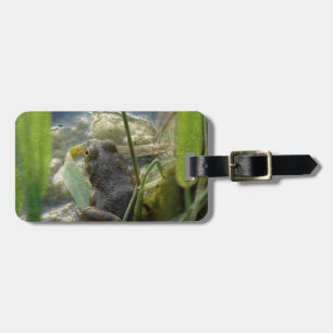 Étiquette À Bagage Grenouille