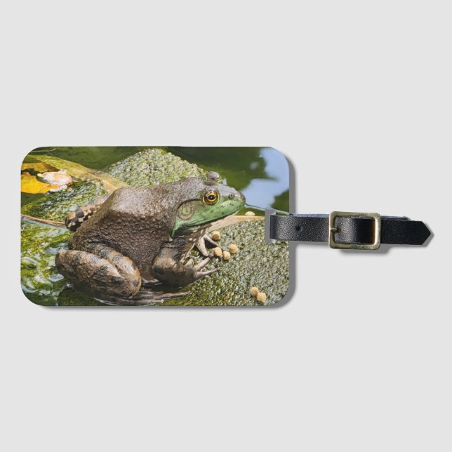Étiquette À Bagage Grenouille - Vieux Coasseur (Devant Horizontal)