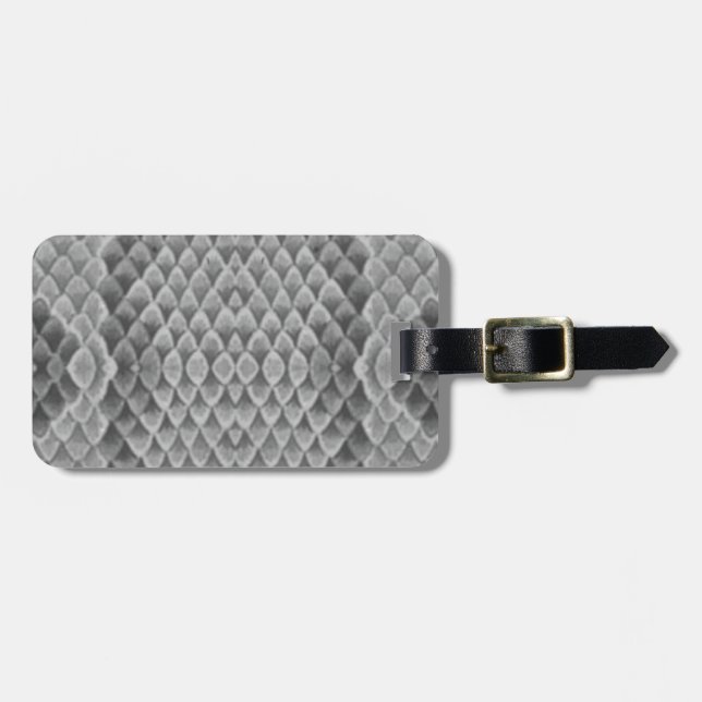 Étiquette À Bagage Grey Snakeskin (Devant horizontal)