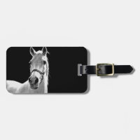 Gros plan Cheval blanc noir en nuit