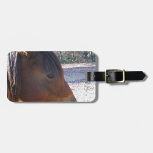 Étiquette À Bagage Gros plan sur un cheval brun, petit poney brun