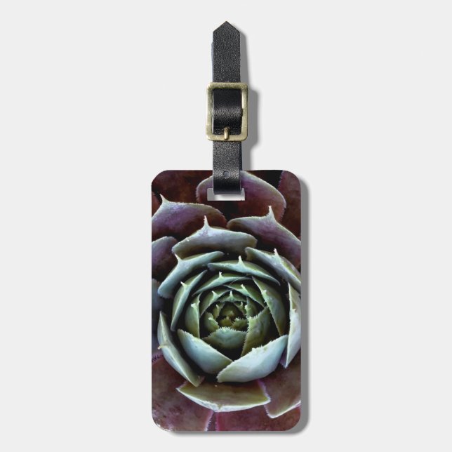 Étiquette À Bagage Gros plan sur une succulente violette (Devant Vertical)