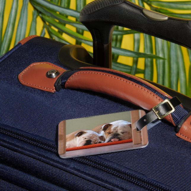 Étiquette À Bagage Groupe Bulldog endormi (Insitu Rectoal 3)