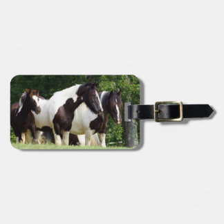 Étiquette À Bagage Gypsy Vanner
