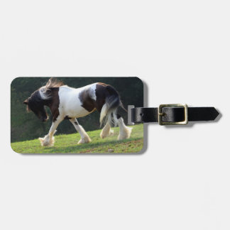 Étiquette À Bagage Gypsy Vanner