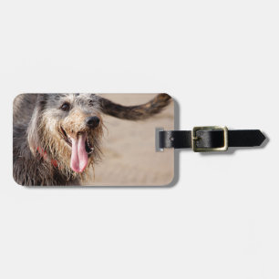 Étiquette À Bagage Heureux chien sur une plage