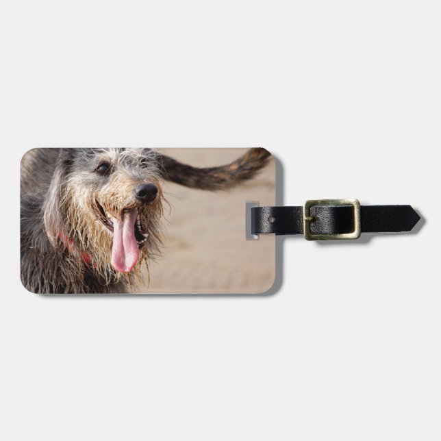 Étiquette À Bagage Heureux chien sur une plage (Devant horizontal)