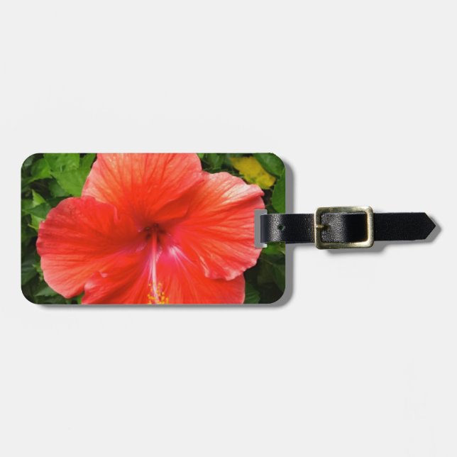 Étiquette À Bagage Hibiscus rouge tropical Bonita Springs Floride (Devant horizontal)