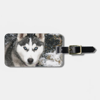 Étiquette À Bagage Husky dog