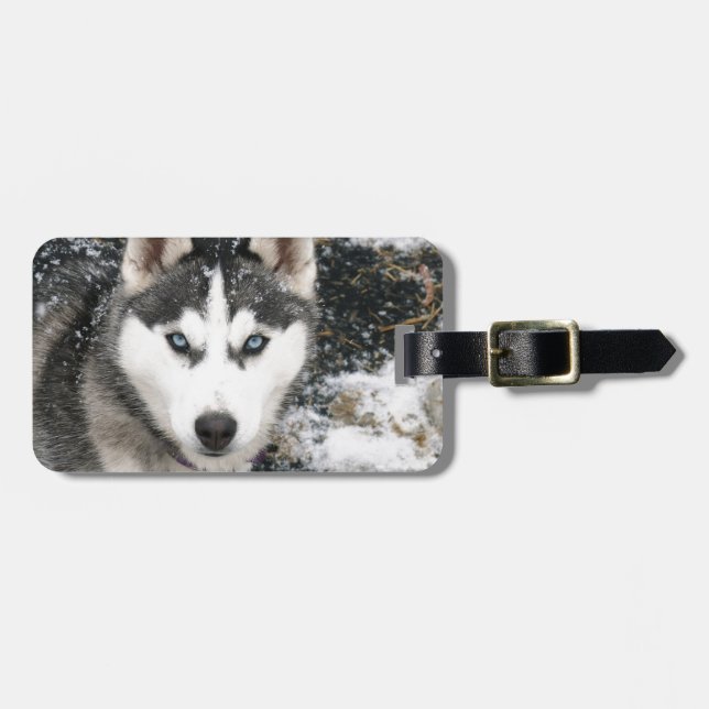 Étiquette À Bagage Husky dog (Devant horizontal)