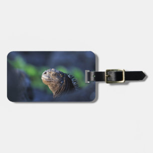 Étiquette À Bagage Îles de la mer de Galapagos