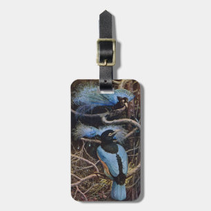 Étiquette À Bagage Illustration de Johnston Vintage Blue Bird Paradis
