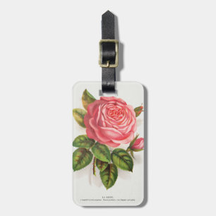 Étiquette À Bagage Illustration Florale Rose Rose Antique Cottagecore
