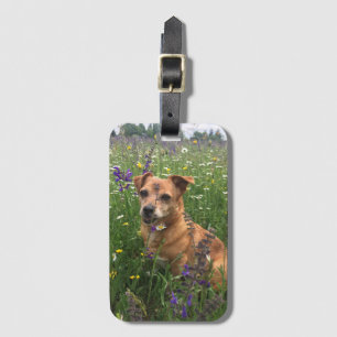 Étiquette À Bagage Image de votre propre chien