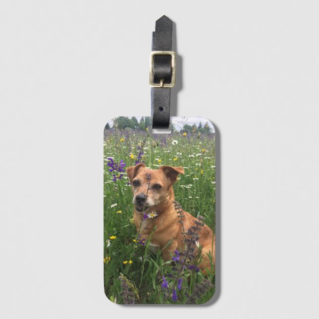 Étiquette À Bagage Image de votre propre chien (Devant Vertical)