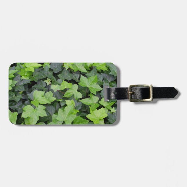 Étiquette À Bagage Impression botanique verte Ivy (Devant horizontal)
