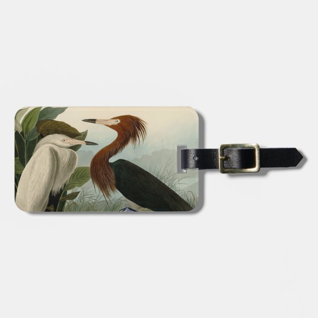 Étiquette À Bagage Impression de Héron Pourpré d'Audubon : Art d'Oise (Devant horizontal)