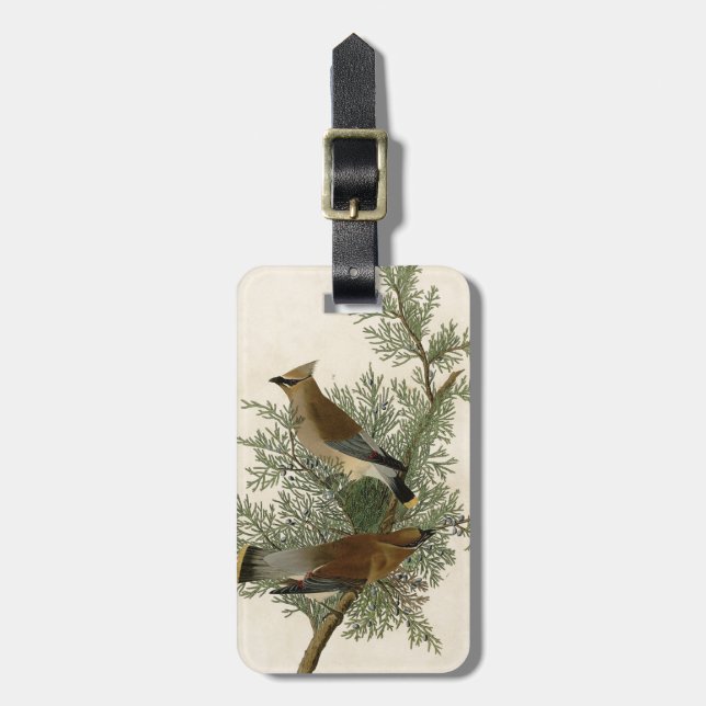 Étiquette À Bagage Impression d'oiseau de John James Audubon Jaseur b (Devant Vertical)