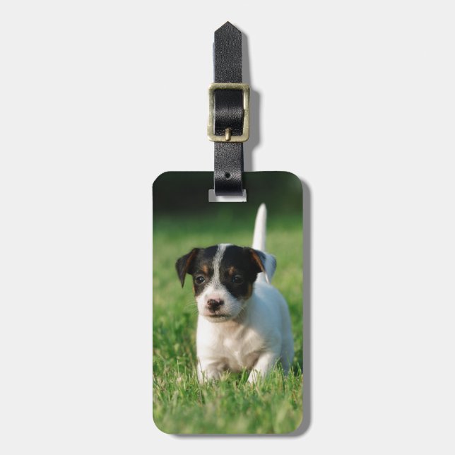 Étiquette À Bagage Jack Russell Terrier puppy (Devant Vertical)
