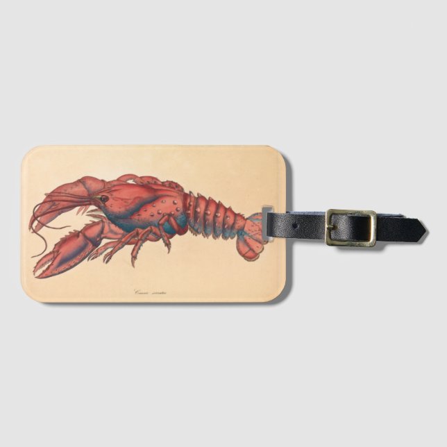Étiquette À Bagage James Sowerby Homard serbé (Devant Horizontal)