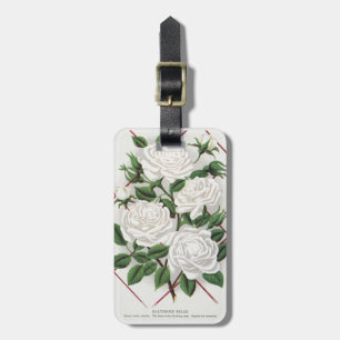 Étiquette À Bagage Jardin de roses grimpantes blanches antiques victo