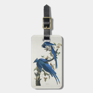 Étiquette À Bagage Jay noir à pâte molle à tarte noire Audubon Columb