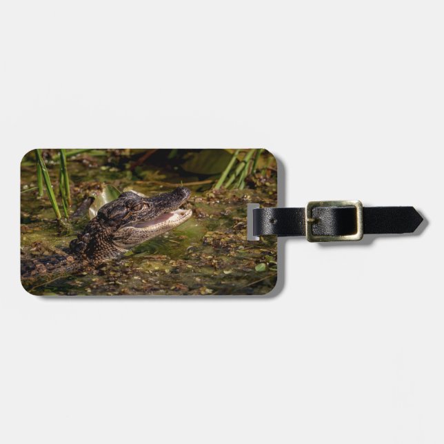 Étiquette À Bagage Jeune Alligator (Devant horizontal)