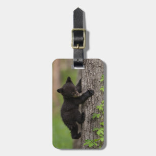 Étiquette À Bagage Jeune ourson noir grimpant à un arbre