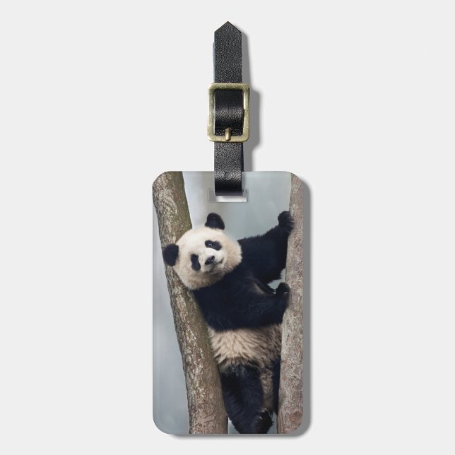 Étiquette À Bagage Jeune panda grimpant à un arbre, Chine (Devant Vertical)