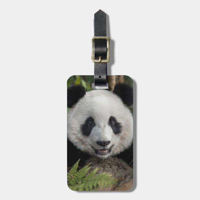 Étiquette À Bagage Jeune panda heureux, Chine (Devant Vertical)