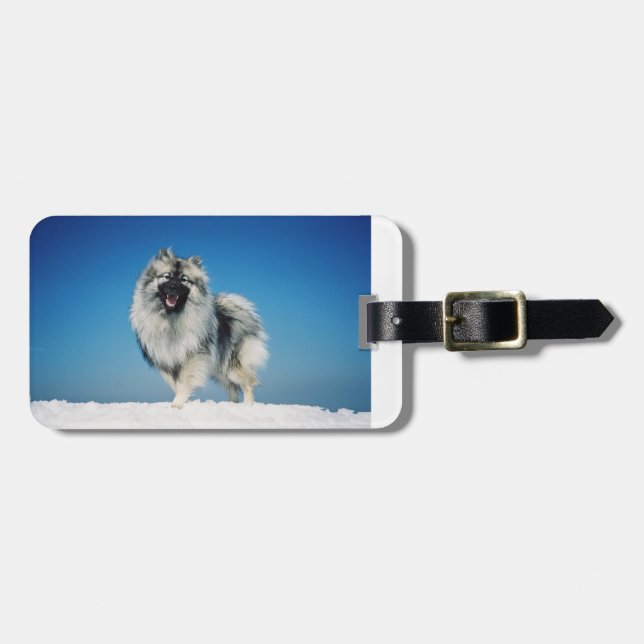 Étiquette À Bagage keeshond complètement dans snow.png (Devant horizontal)